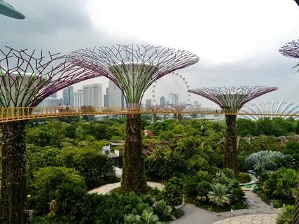 Gardens by the Bay Supertrees